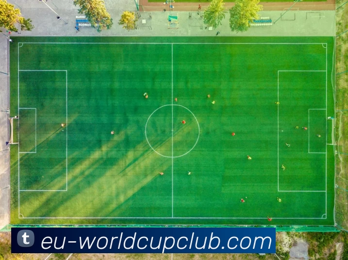 世界杯官方投注平台生态图